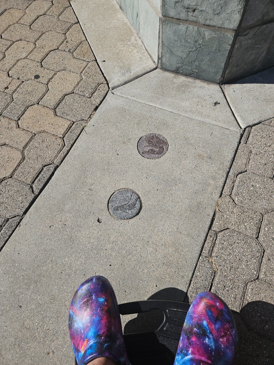 Puzzling Adventures near Sunny Vista